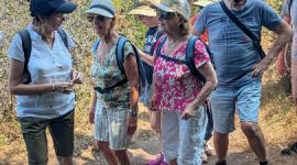 sejour_08_2026_juillet_183