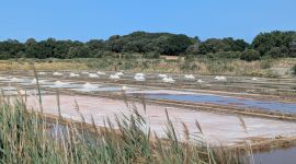 sejour_08_2026_juillet_203