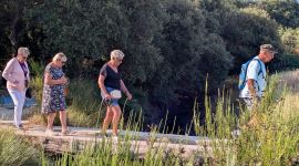 sejour_08_2026_juillet_221