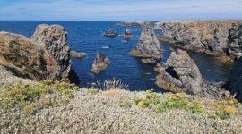 sejour_10_2026_aout_066