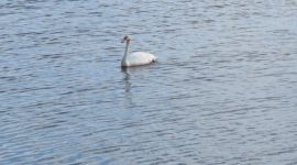 sejour_10_2026_aout_117