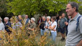 sejour_11_2026_septembre_353